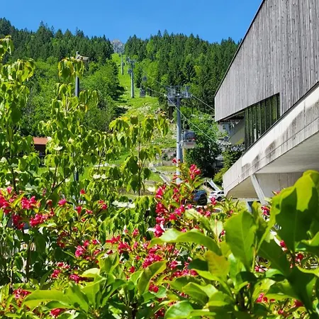 Apartamento Bergkristall Brand (Vorarlberg)